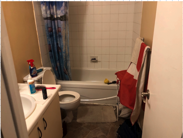 Tub to Tub Bathroom renovation – Before and After